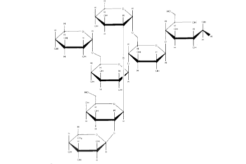 гептамалоксилоглукан 