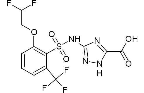 3-({[2-(2,2-дифлуороетокси)-6-(трифлуорометил)фенил]сульфонил}амино)-1х-1,2,4-триазол-5-карбоксилиц ацид 