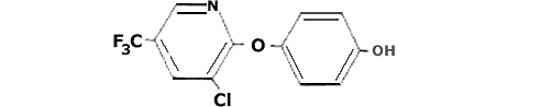 4-(3-хлоро-5-трифлуорометил-2-пиридилоксифенол) 