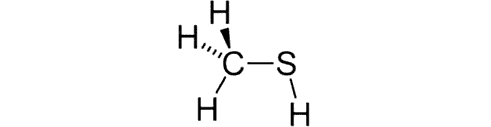 меркаптан 