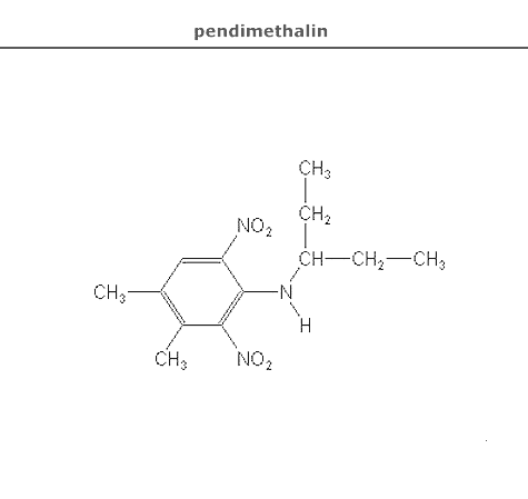 структурная формула пендиметалин