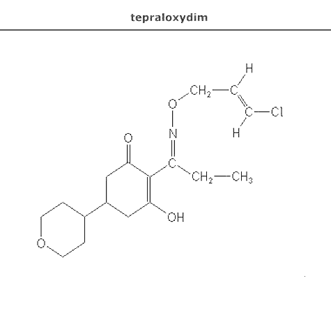 структурная формула тепралоксидим