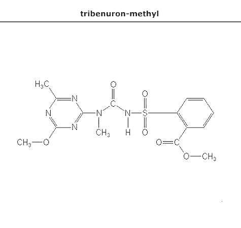 структурная формула трибенурон-метил